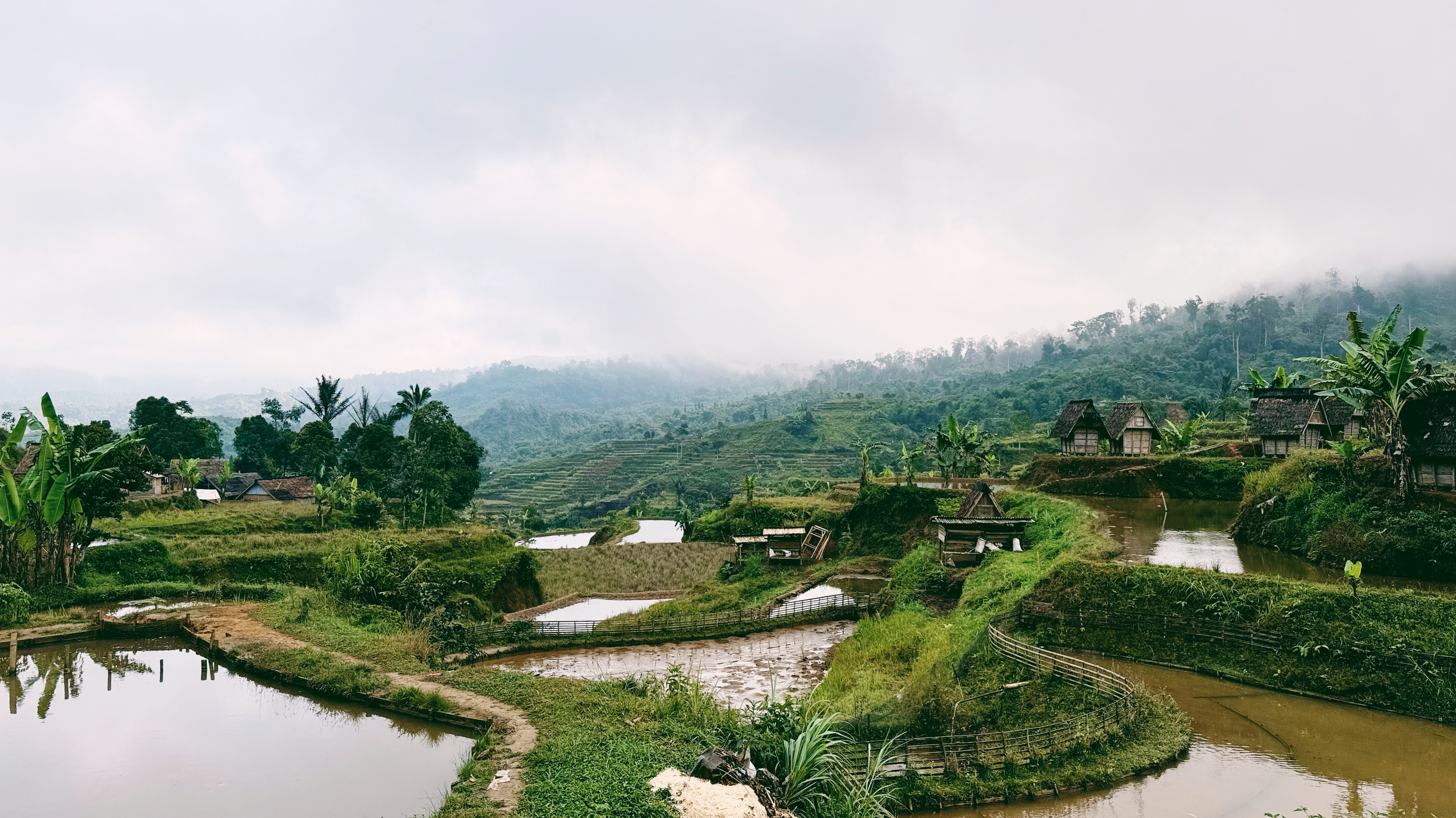 Displayed image from the thumbnail slider