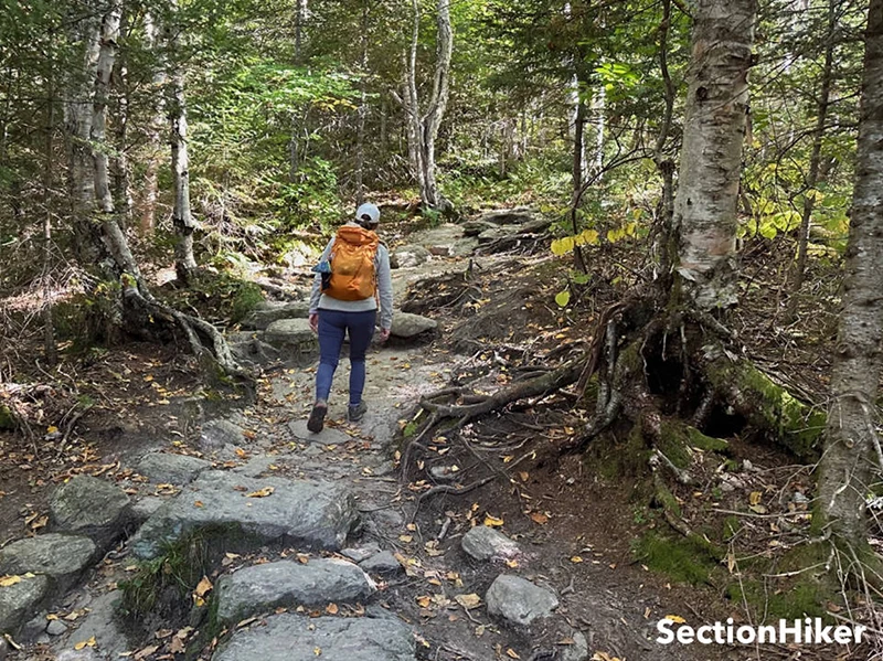 A person hiking on a trail