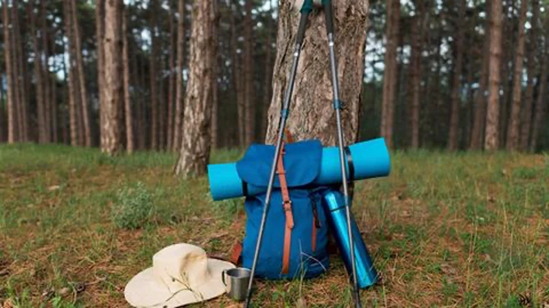 Hiking gear by a tree