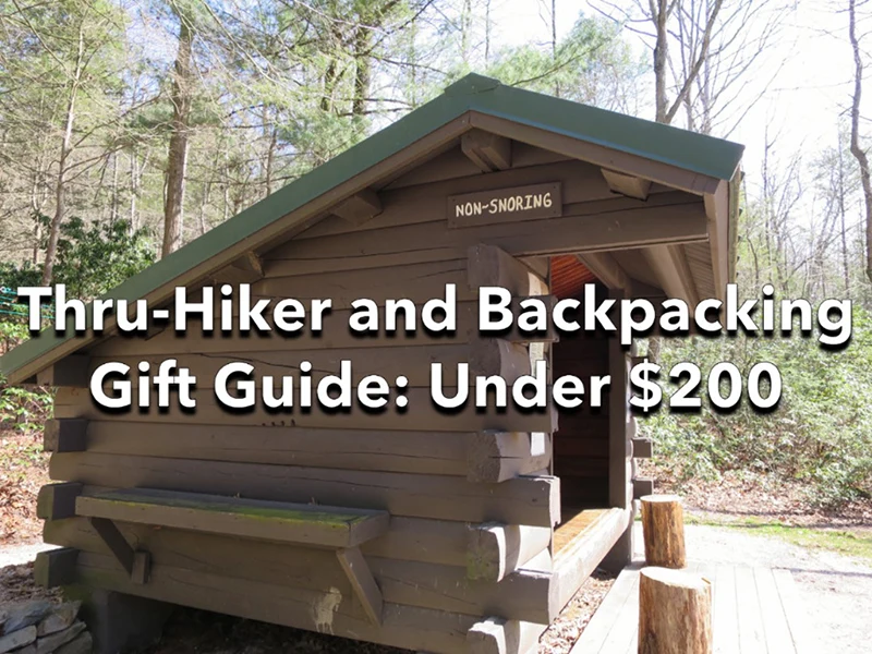 A shelter in the woods