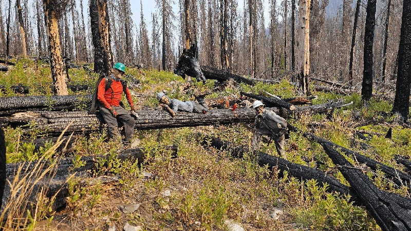 Displayed image from the thumbnail slider