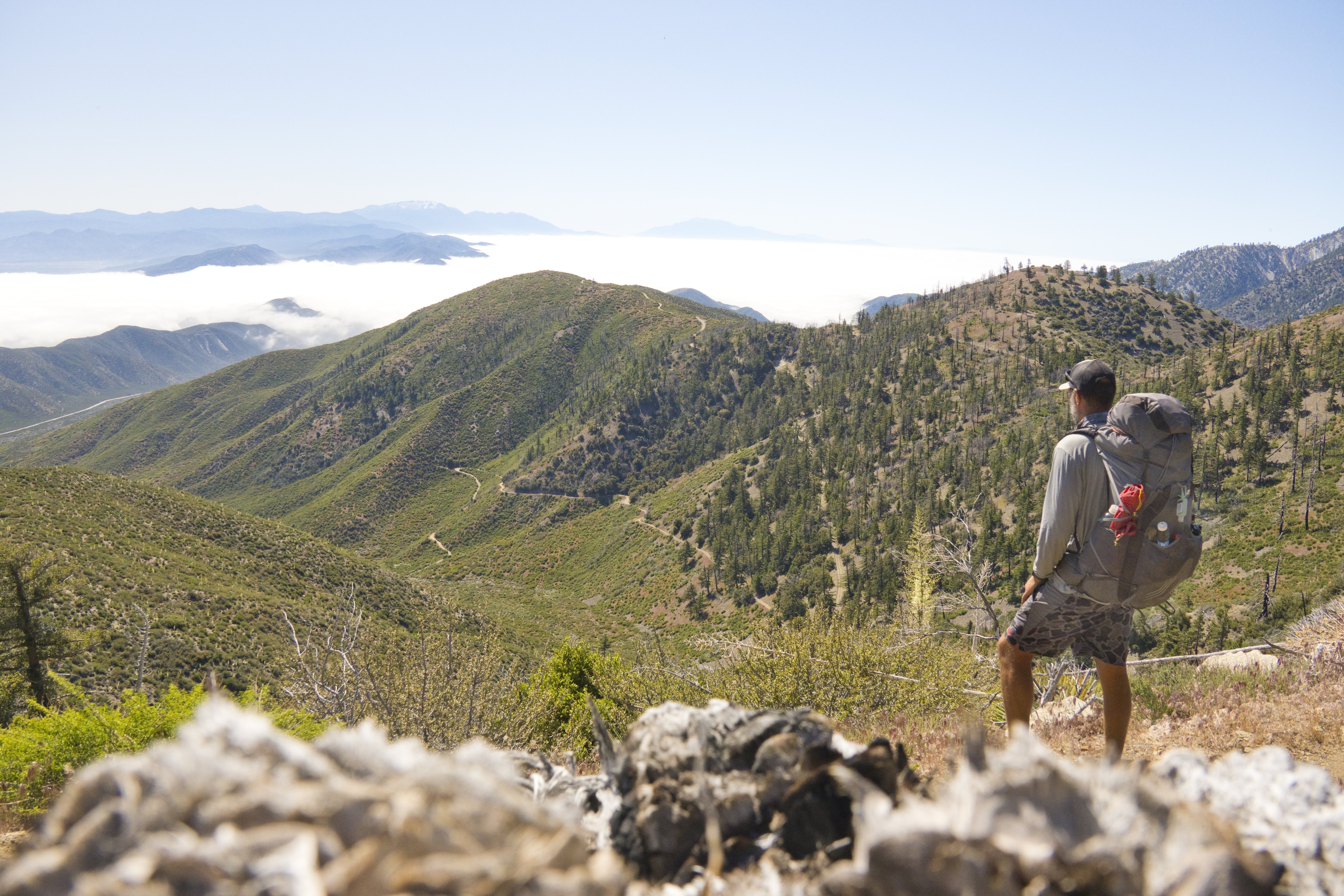 Displayed image from the thumbnail slider