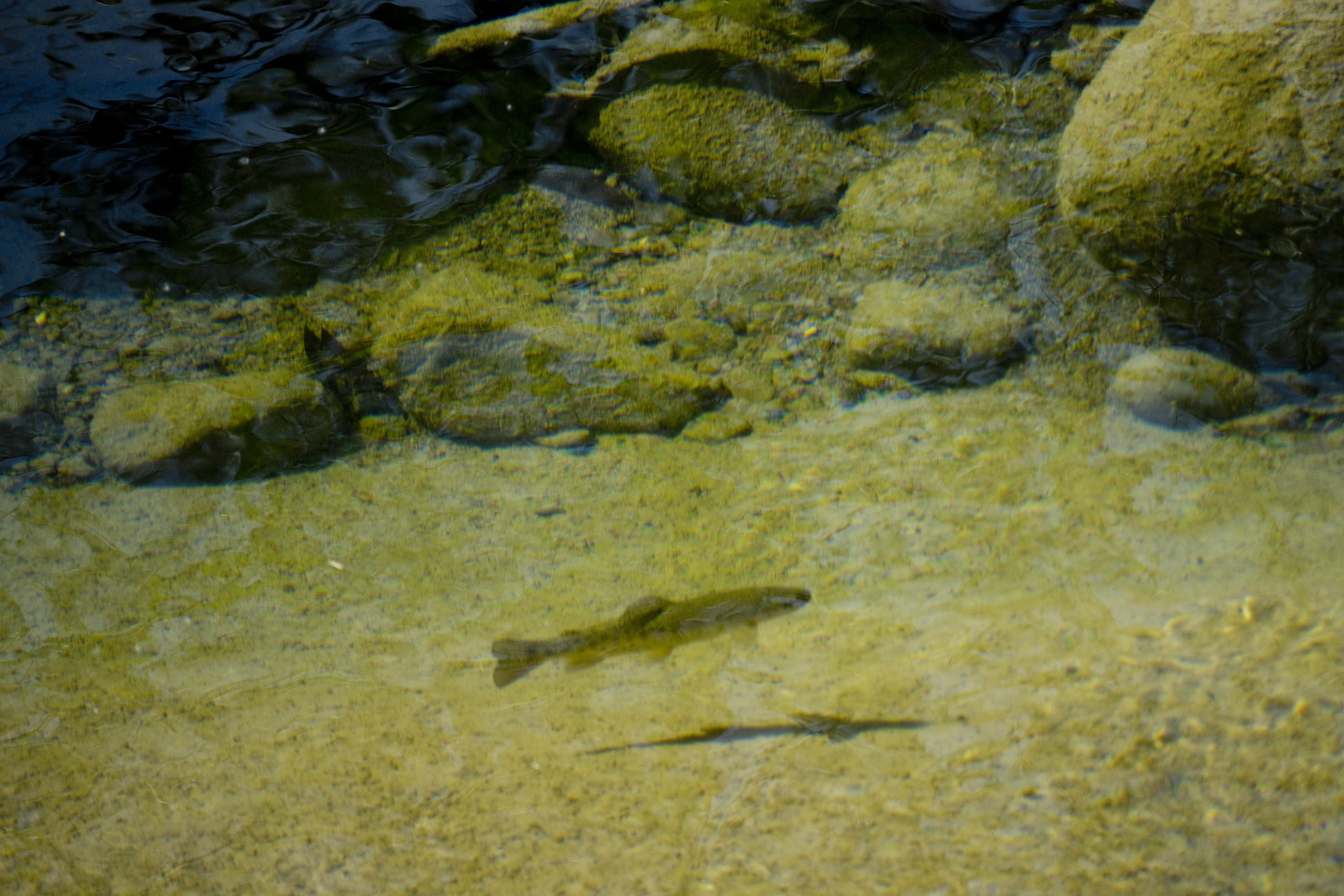 Displayed image from the thumbnail slider