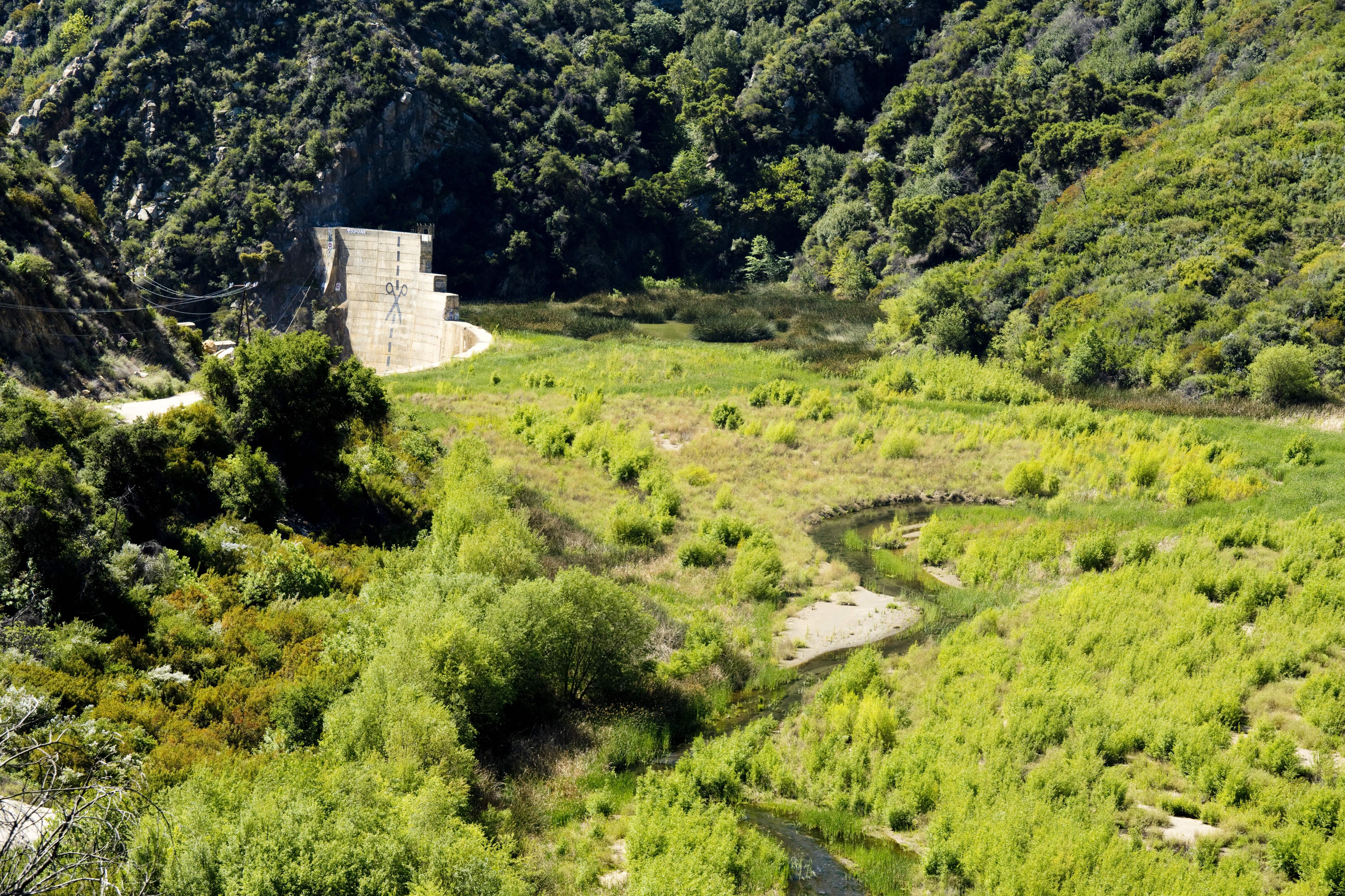 Displayed image from the thumbnail slider