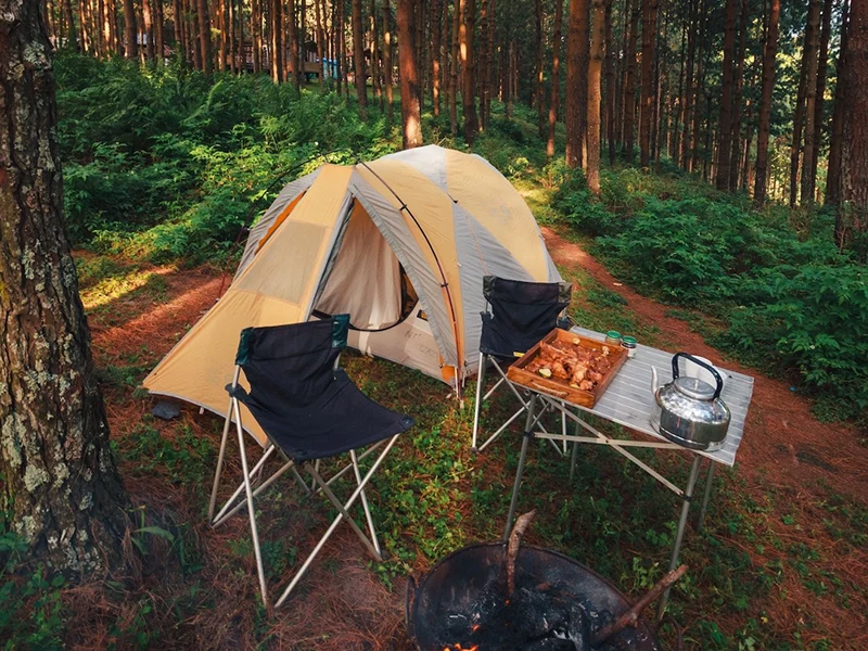 A campsite in the woods.
