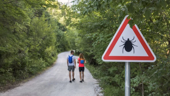 A sign with a tick on it and people walking on a trail.