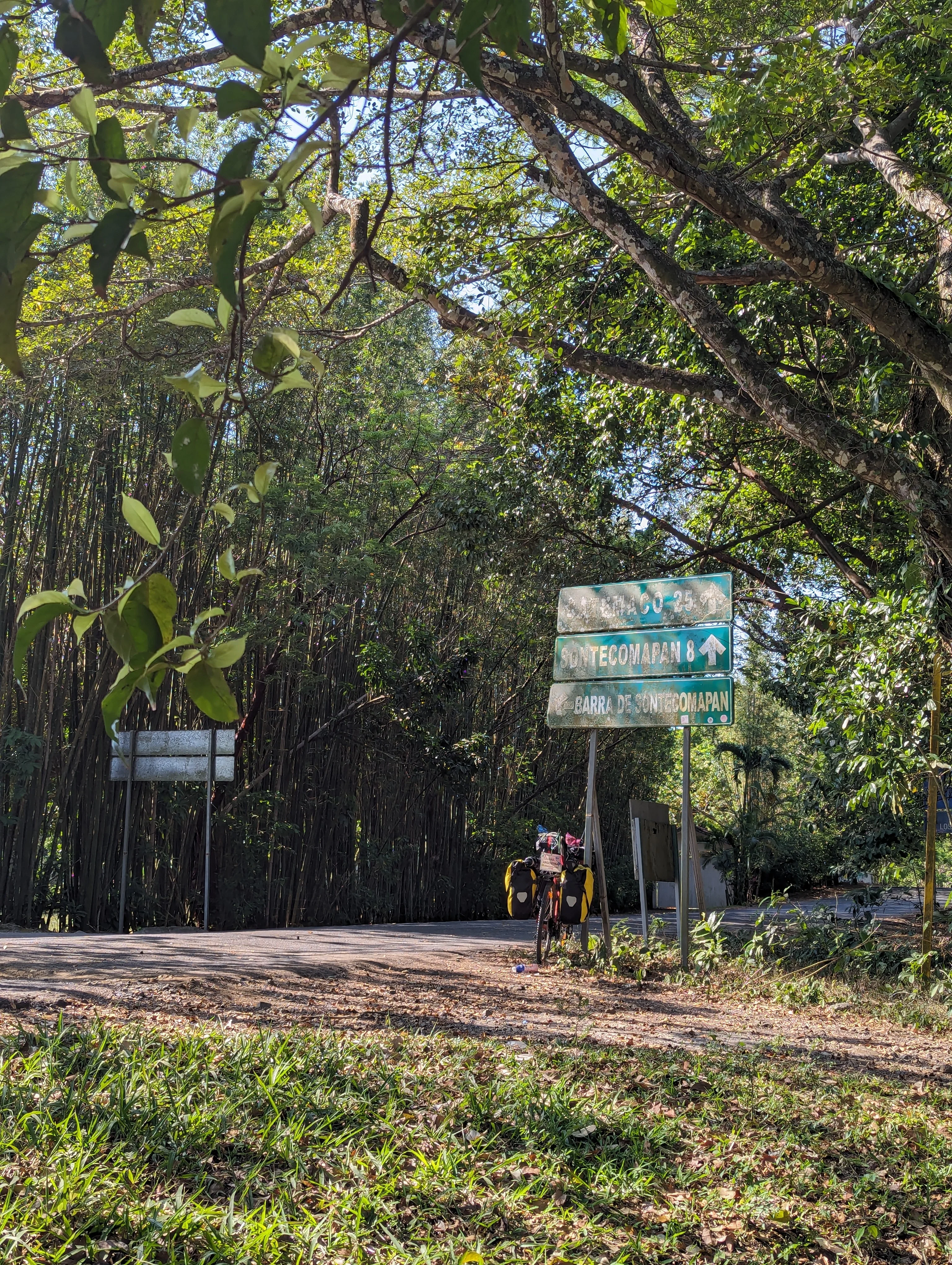 a green street sign points the way for a bike leaning against it with days of backpacking gear strapped on, and many green leafy trees surrounding the scene