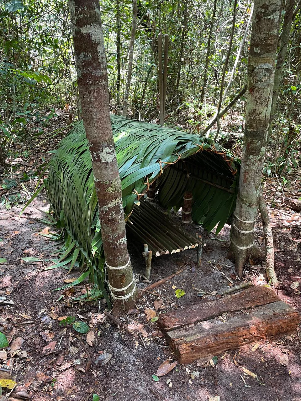 Small shelter in forest made of green palm leaves and wooden sticks with a bench inside.