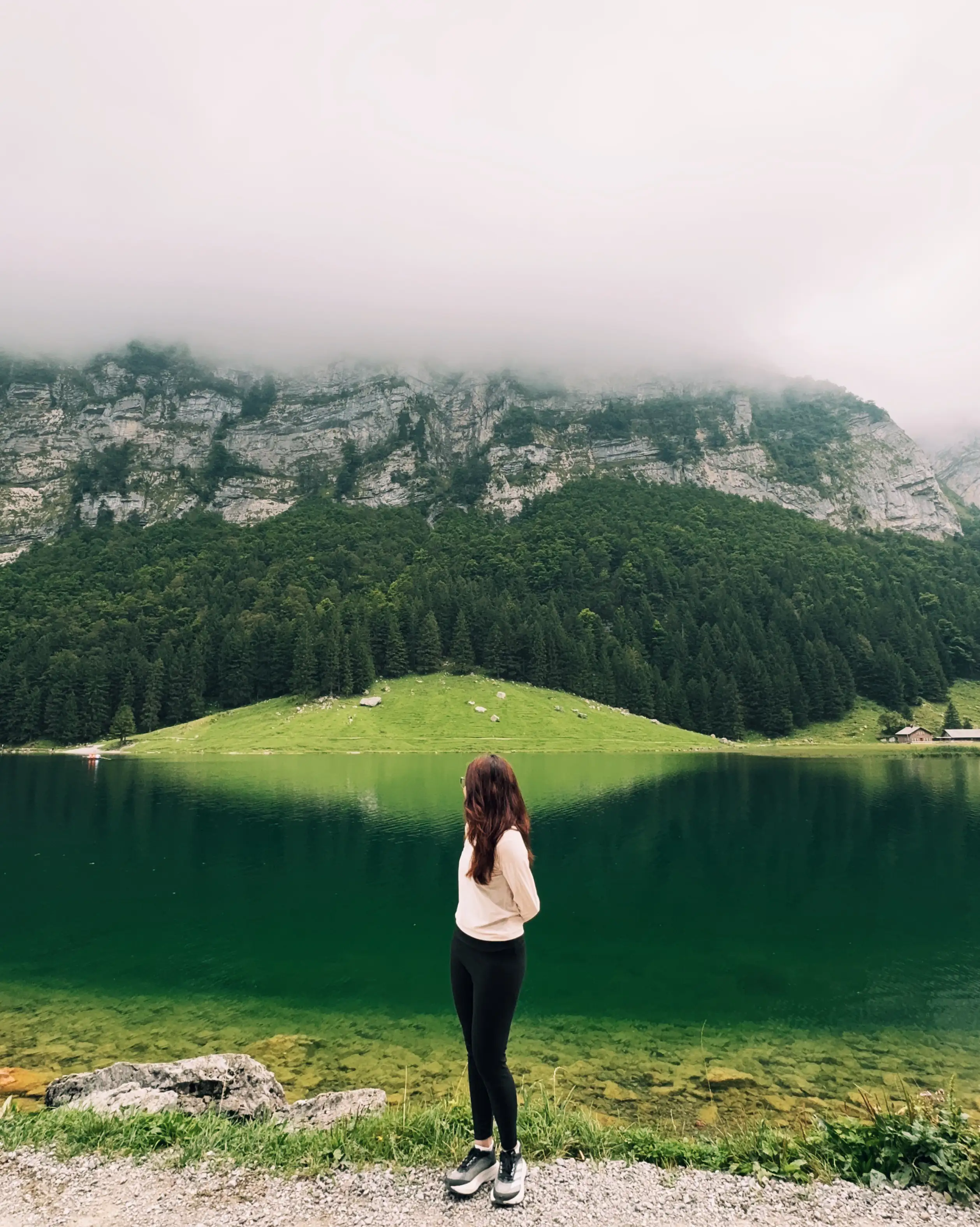 Displayed image from the thumbnail slider