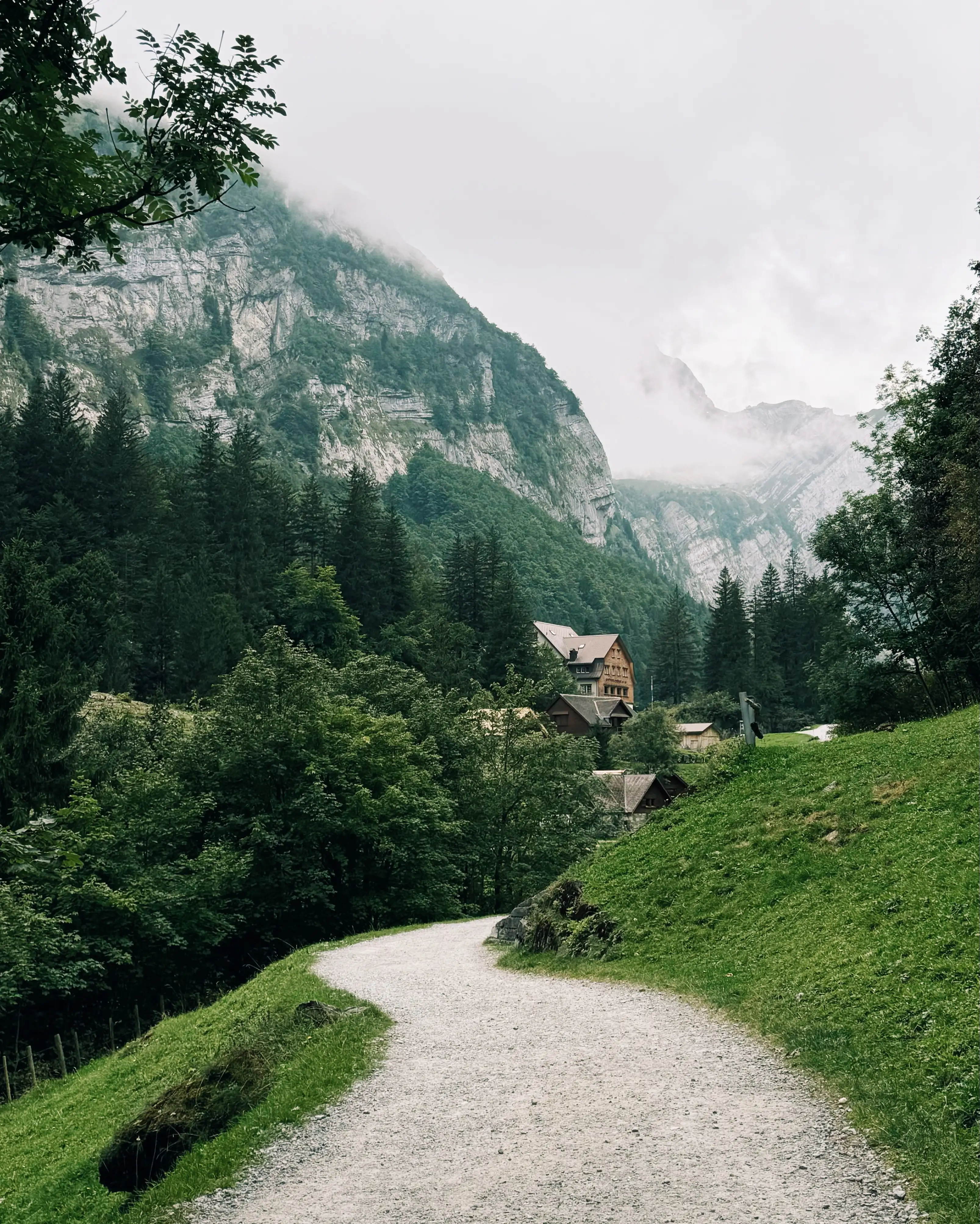 Displayed image from the thumbnail slider