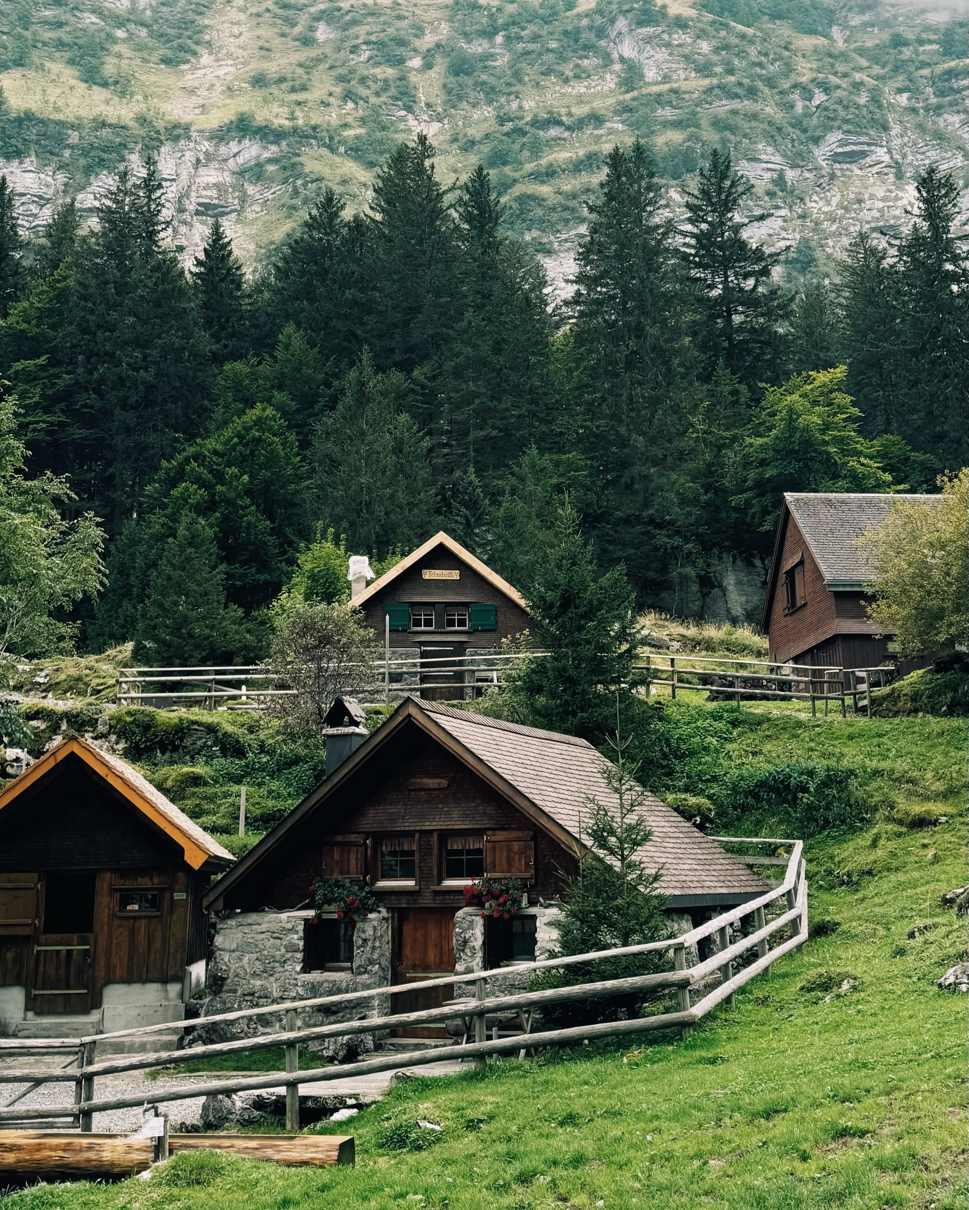 Displayed image from the thumbnail slider
