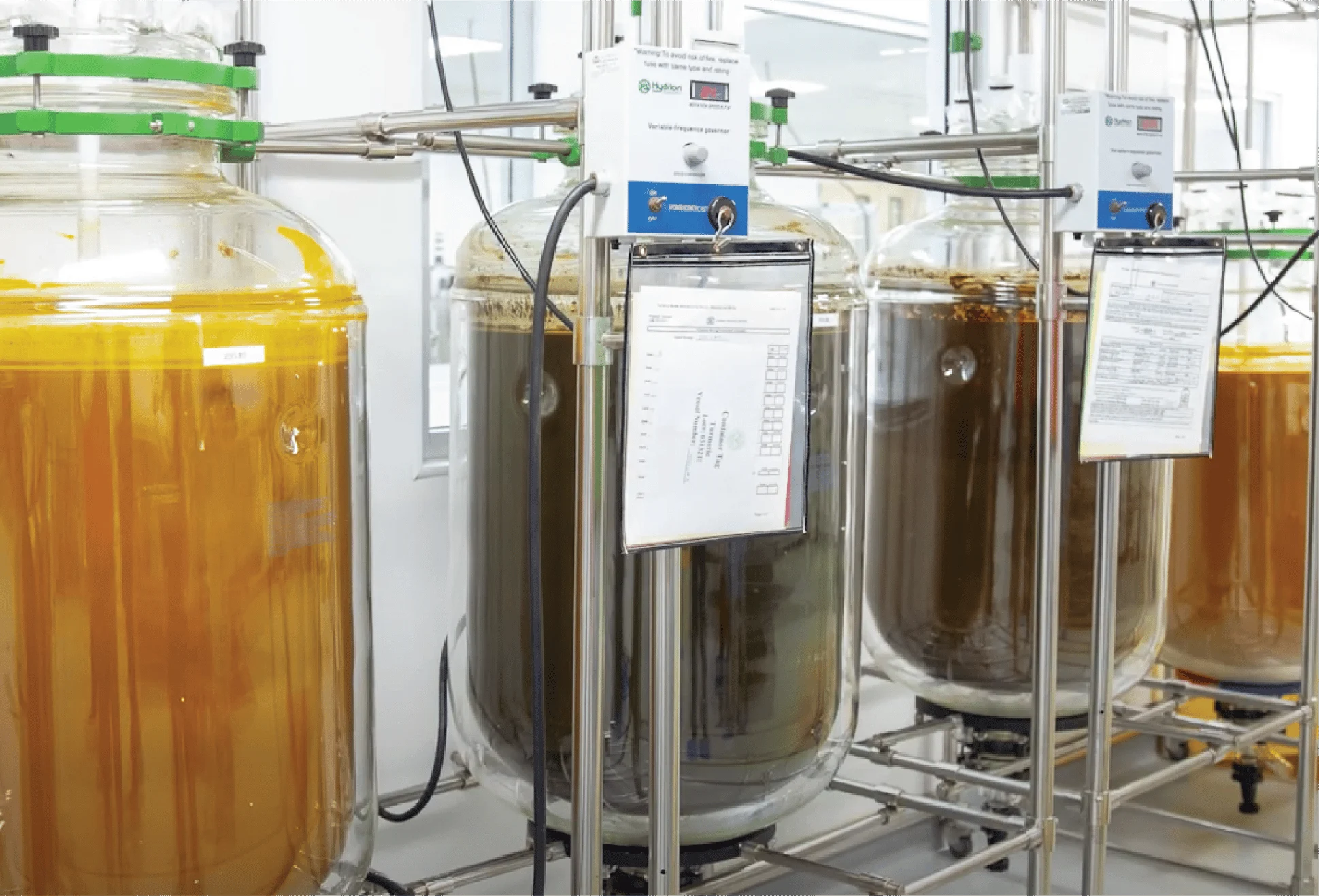 Global Healing Center