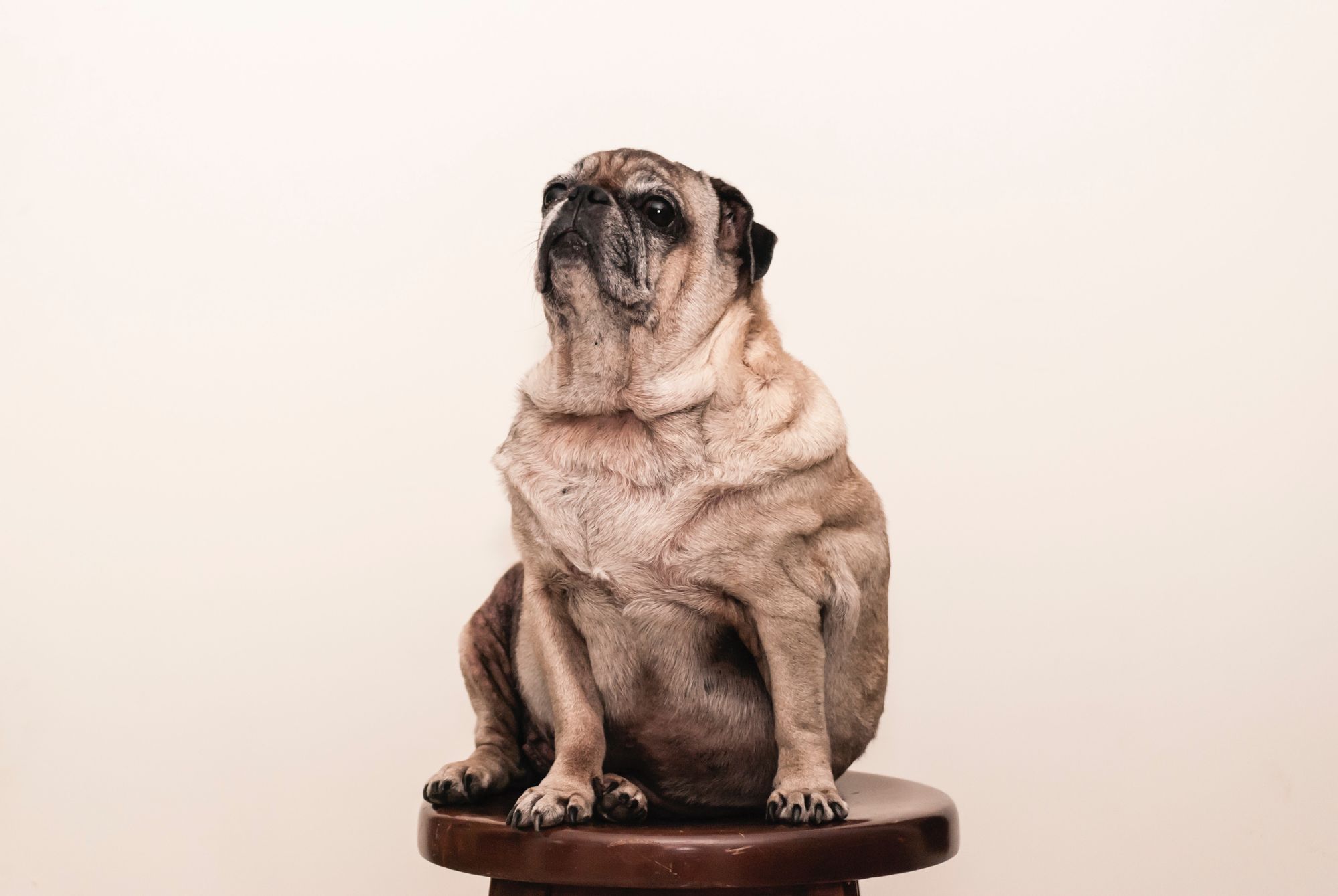 Best strategies for scaling SEO content writing on a limited budget