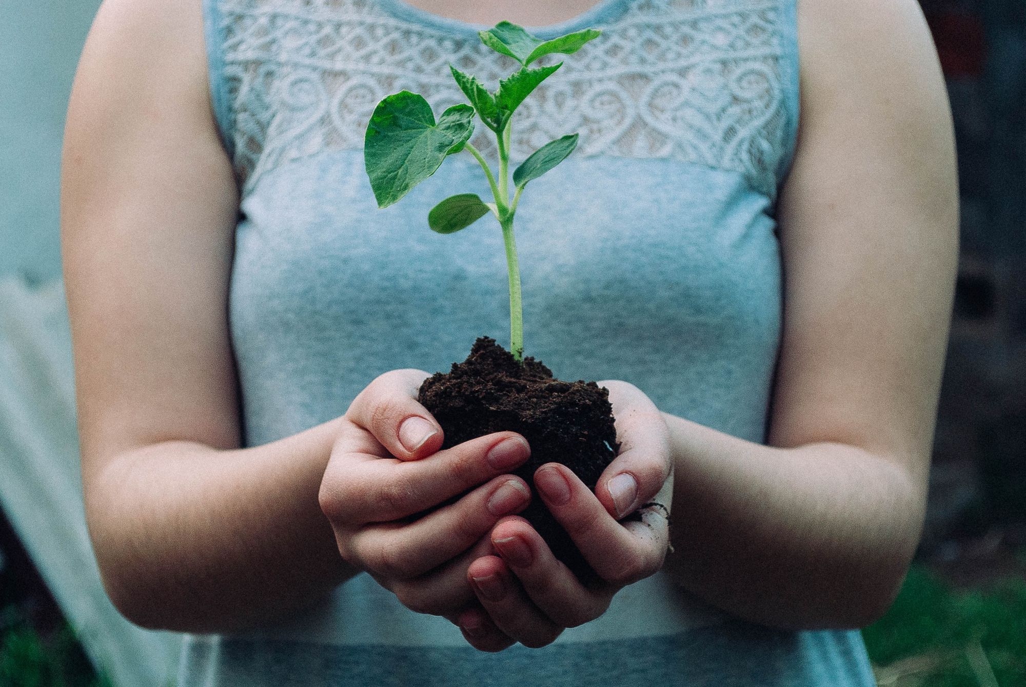 How to grow your PPC agency without doing any PPC (say what?)