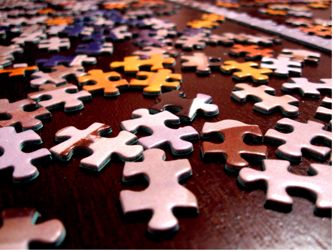 The Data Puzzle