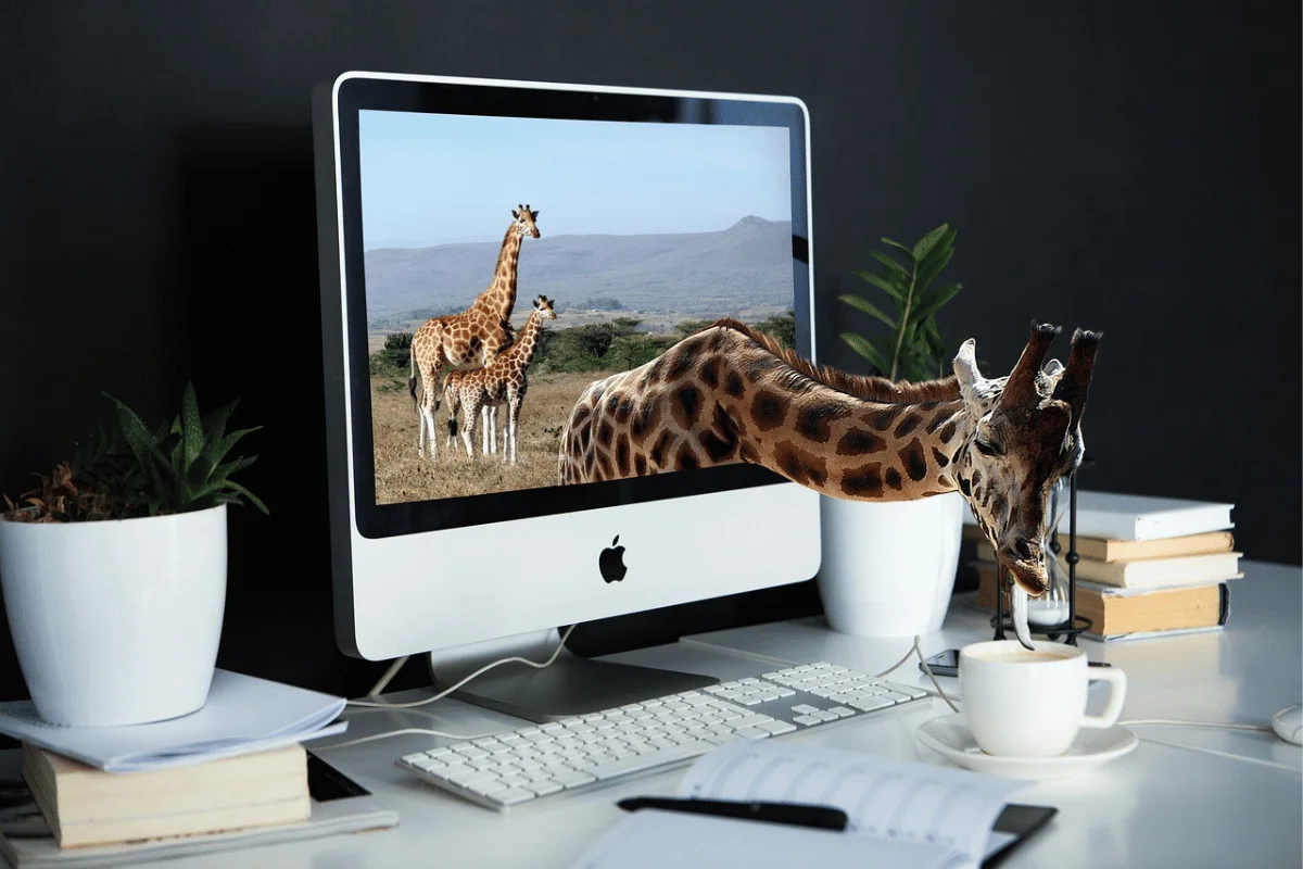 A playful scene shows a giraffe's head emerging from an iMac screen displaying a savanna with other giraffes. An organized desk surrounds it.