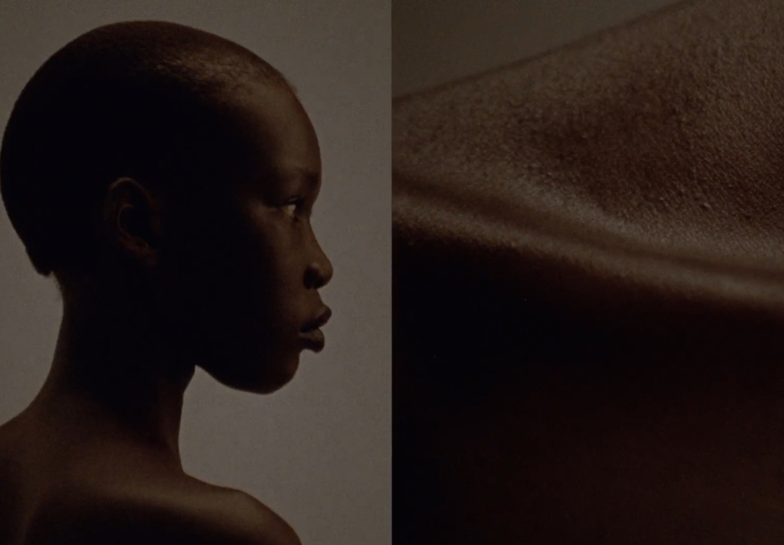 CÉLINE - ECHOES OF HER 