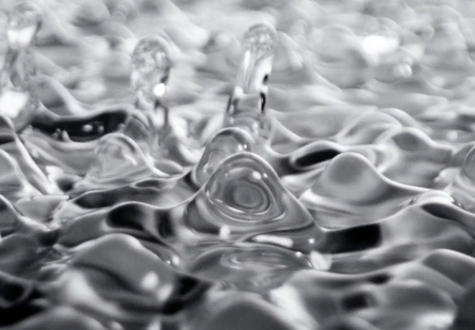 ISSEY MIYAKE - LE SEL D'ISSEY