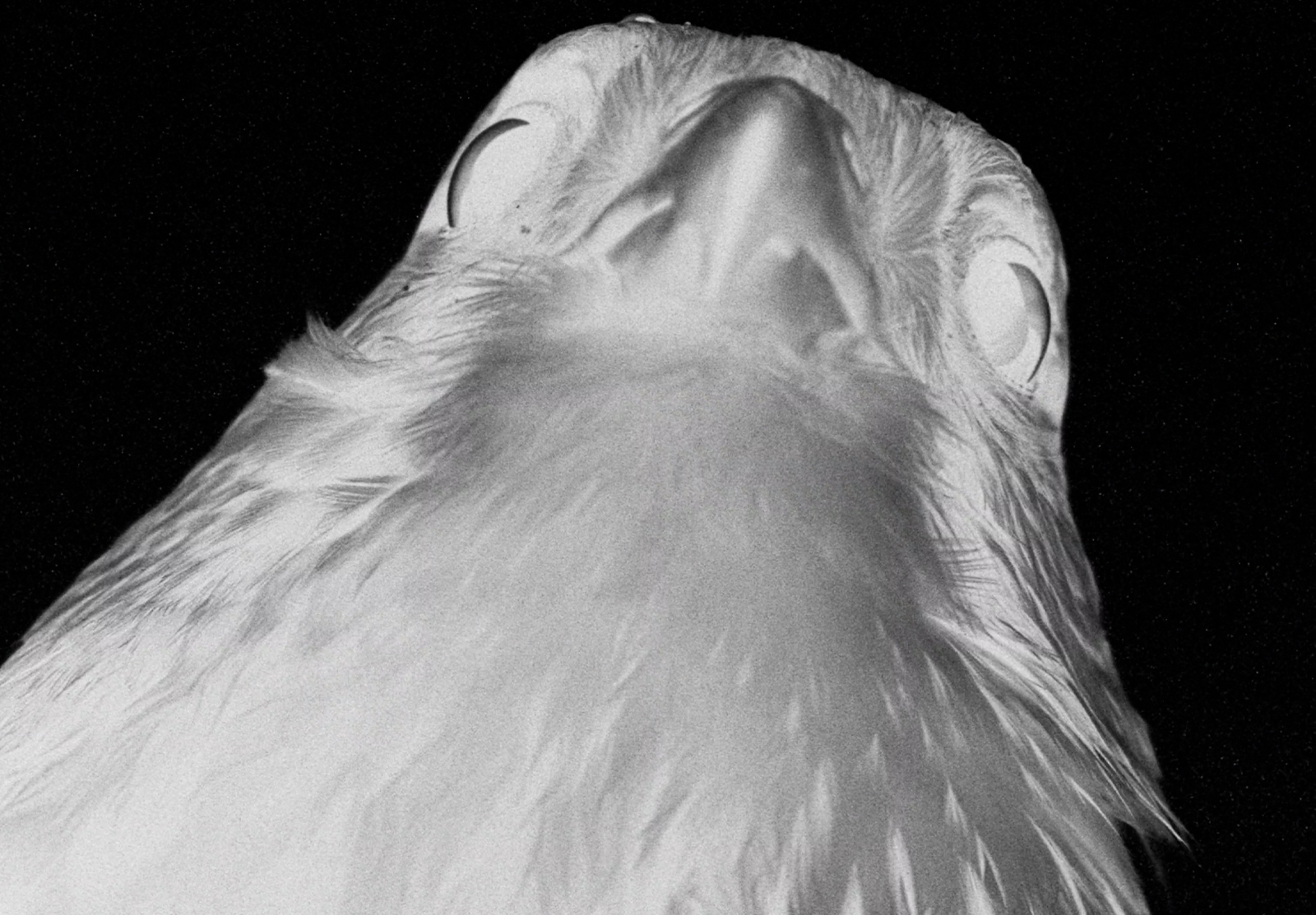 HADERLUMP - OBSCURA TERRA