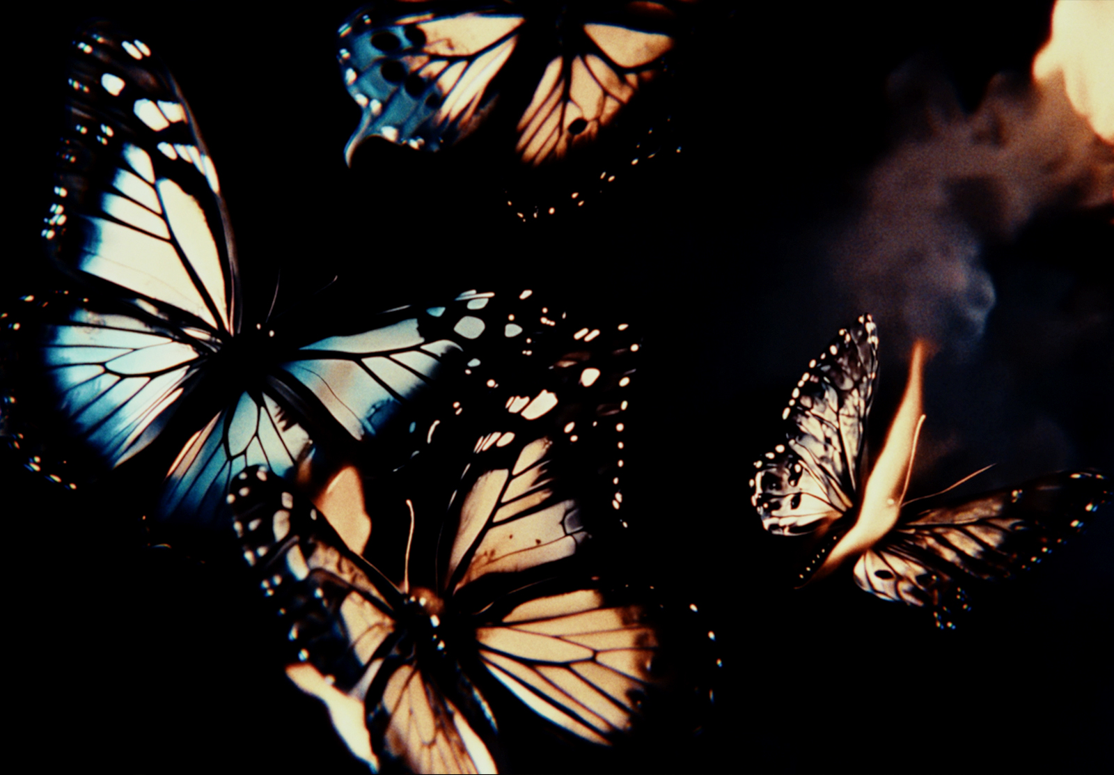 NINA CHUBA - FAREBENBLIND