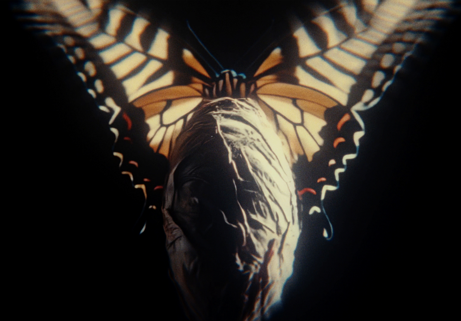 NINA CHUBA - FAREBENBLIND