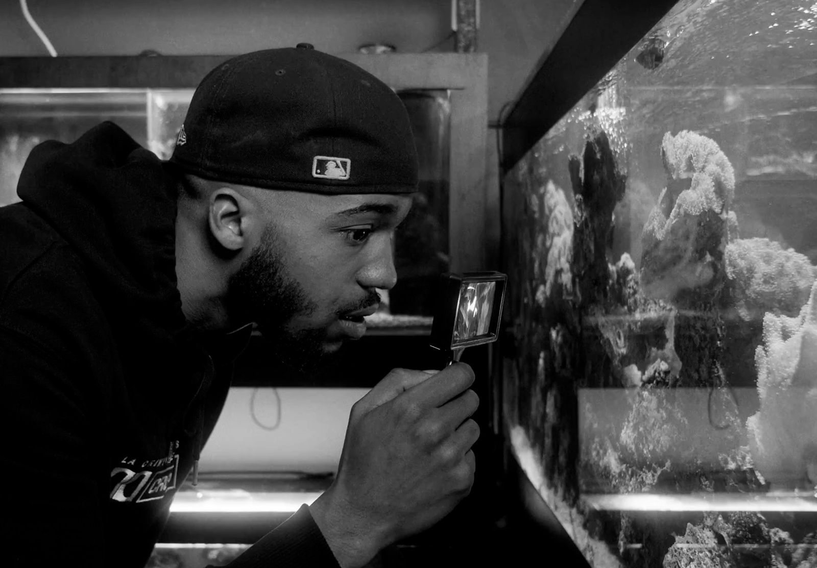 TEDAX MAX - TCHOURAÏ