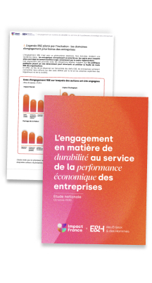 Rapport Robustesse