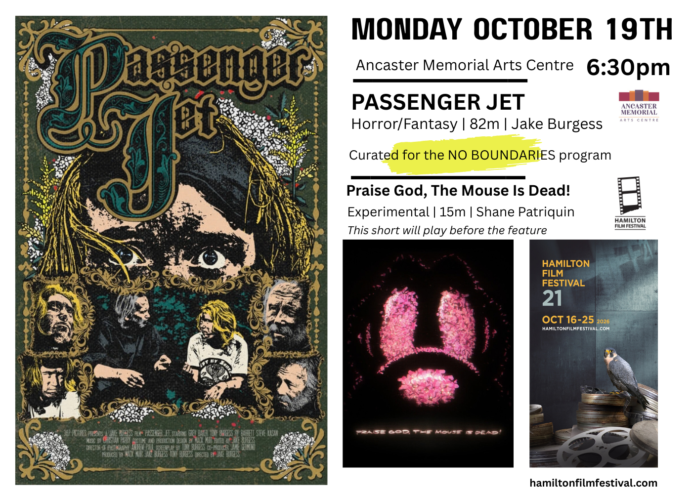 Passenger Jet