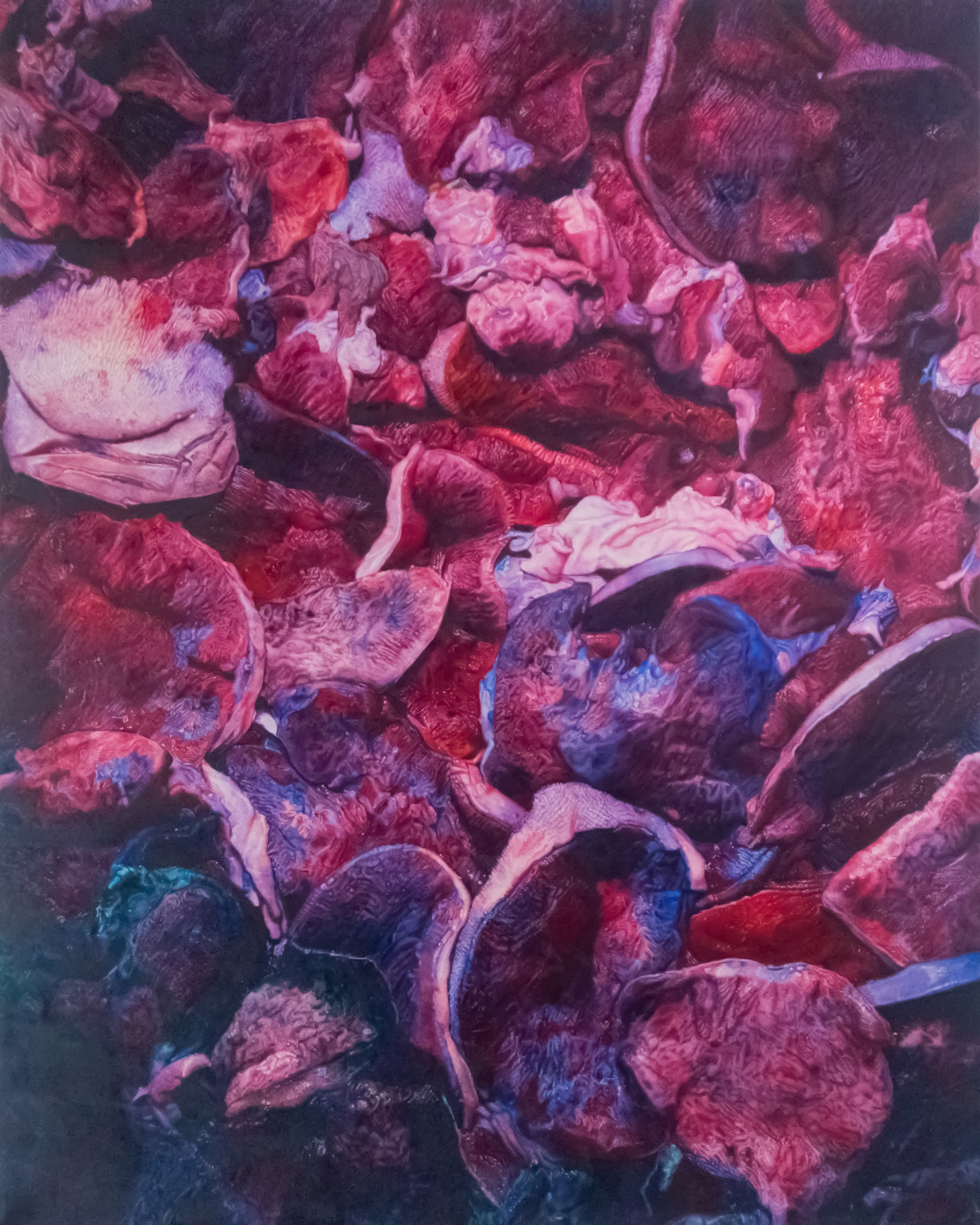 Close-up of textured, reddish-purple and pink abstract shapes resembling organic or floral forms overlapping each other.