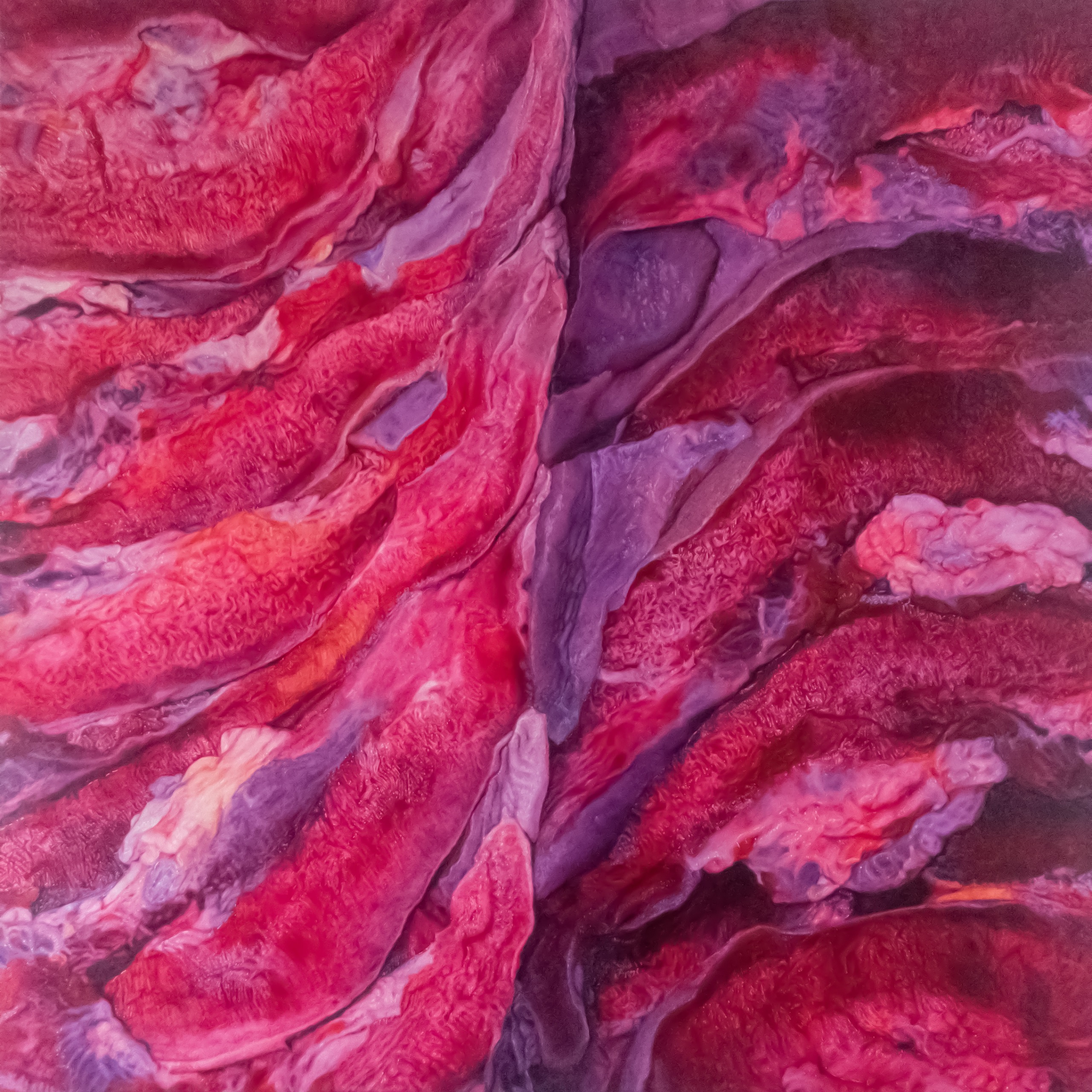 Close-up of textured red and purple cabbage leaves with visible veins and folds.