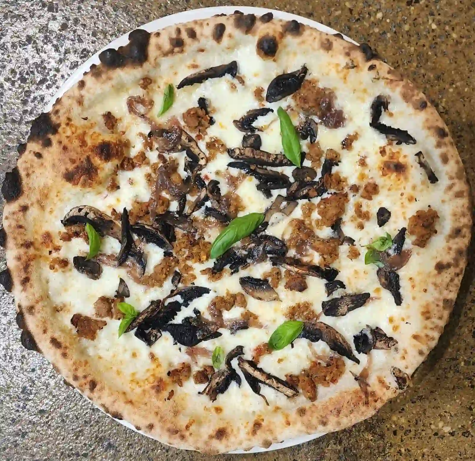 wildboar pizza