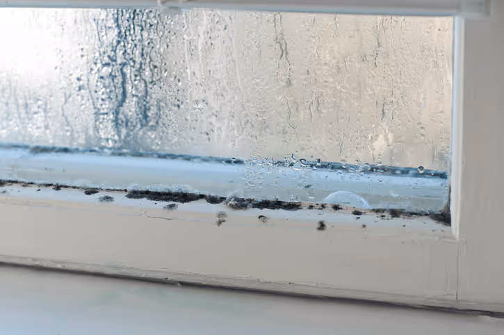 Condensation sur les fenêtres