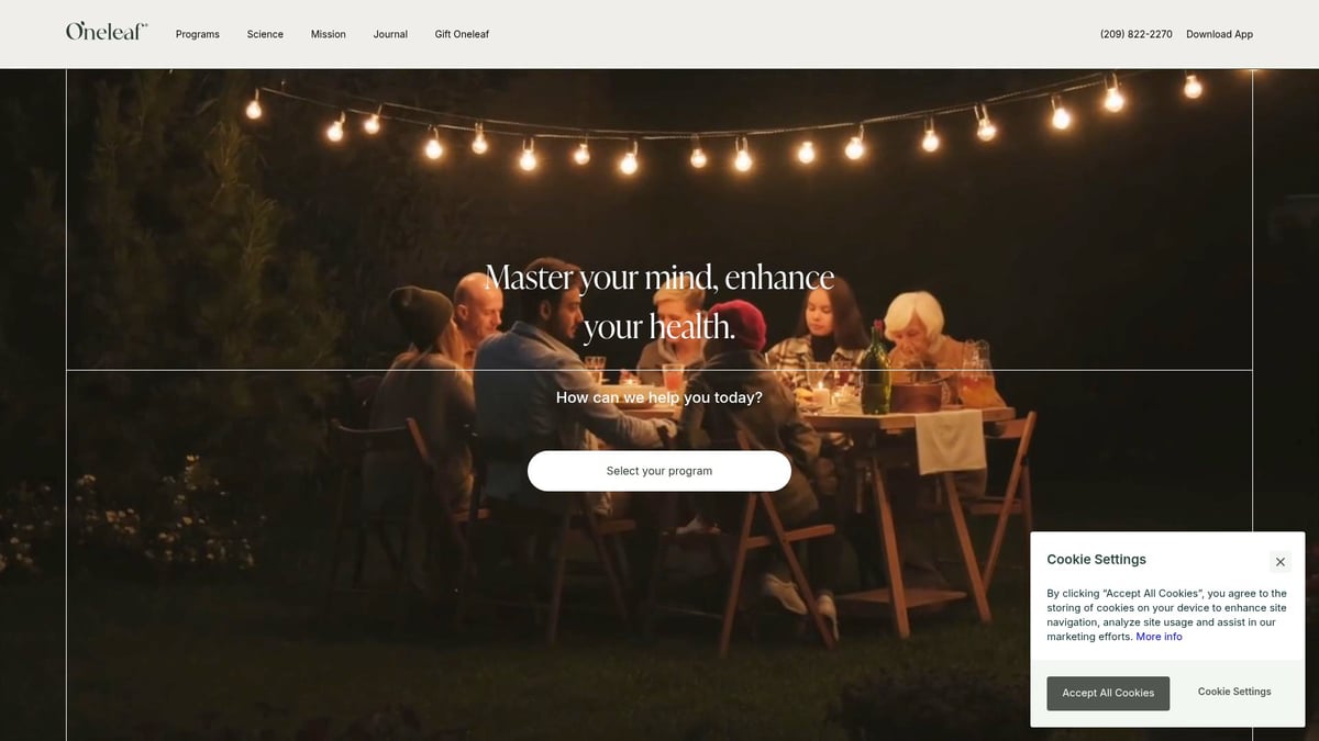 Almased Diet Plan Guide: Your Essential 2026 Success Blueprint - Harnessing Mindset for Effortless Weight Loss