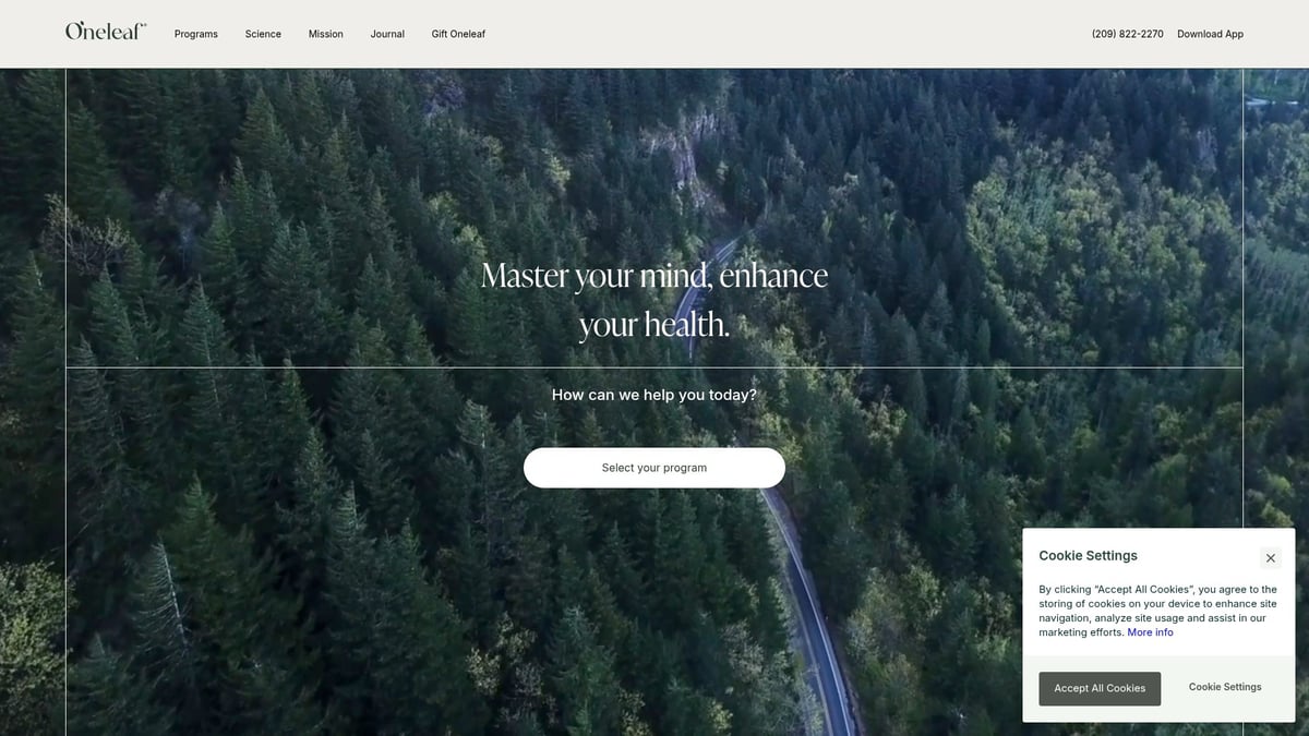 3 Day Detox Cleanse Guide: Your Essential 2025 Plan - How Mindset and Habits Shape Detox Success