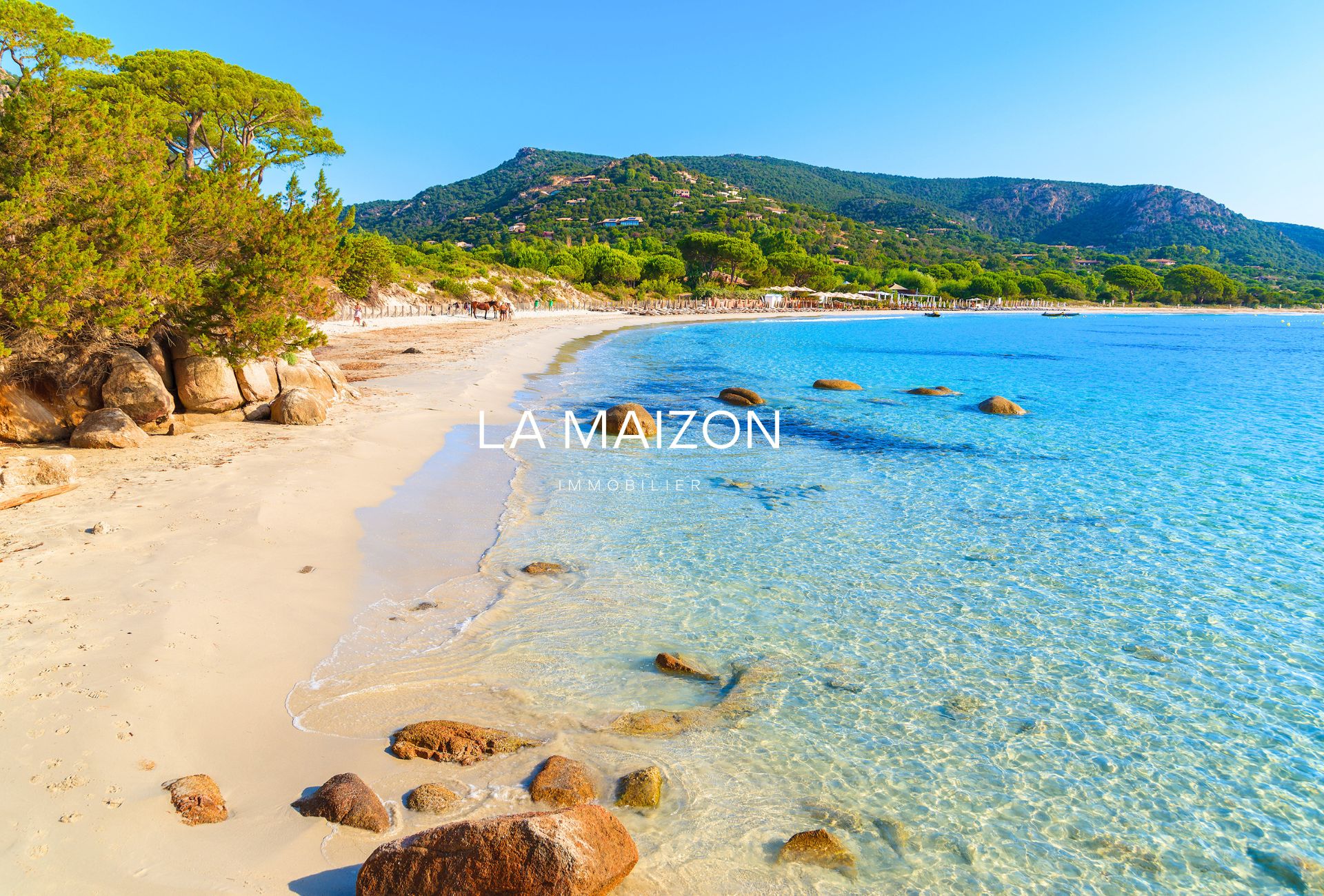 Corse