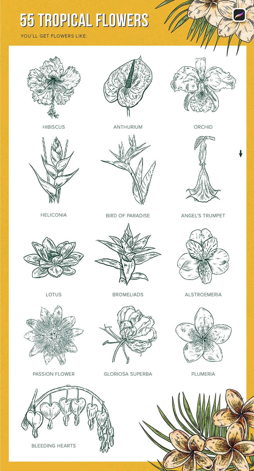 55 Tropical flower stamp brushes for procreate