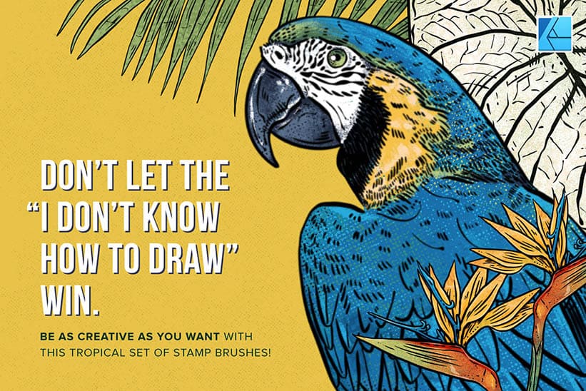 Create awesome tropical illustrations in affinity designer