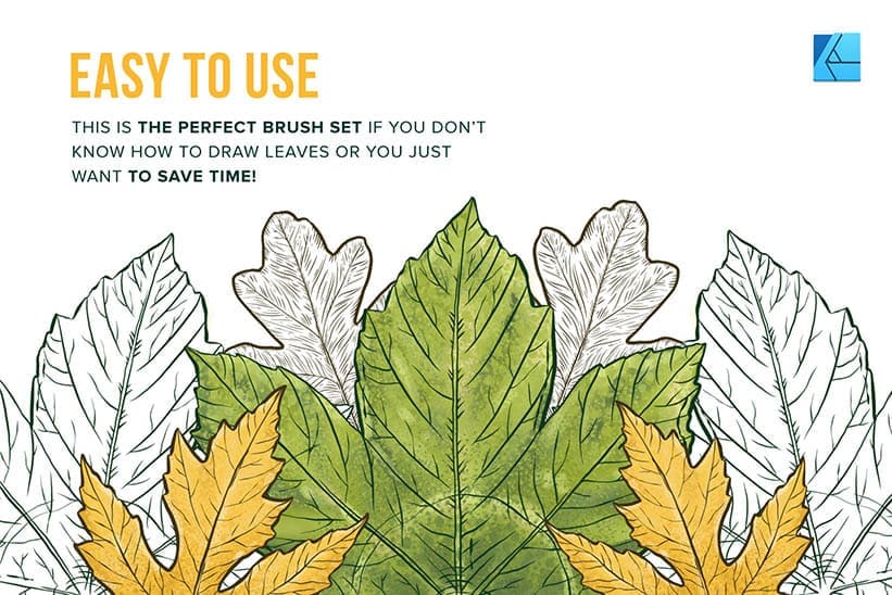 Save time creating leaf illustrations using affiniy designer