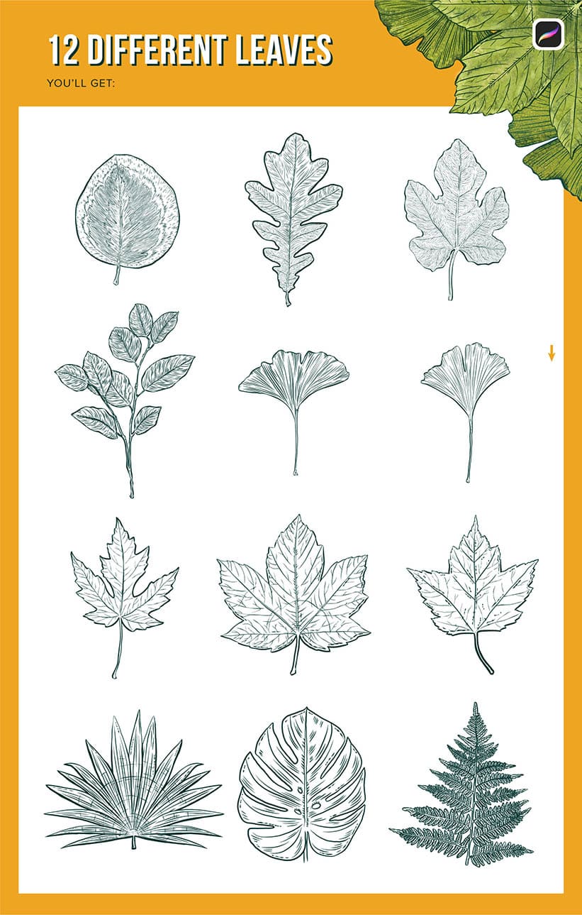The easiest way to draw leaves in procreate