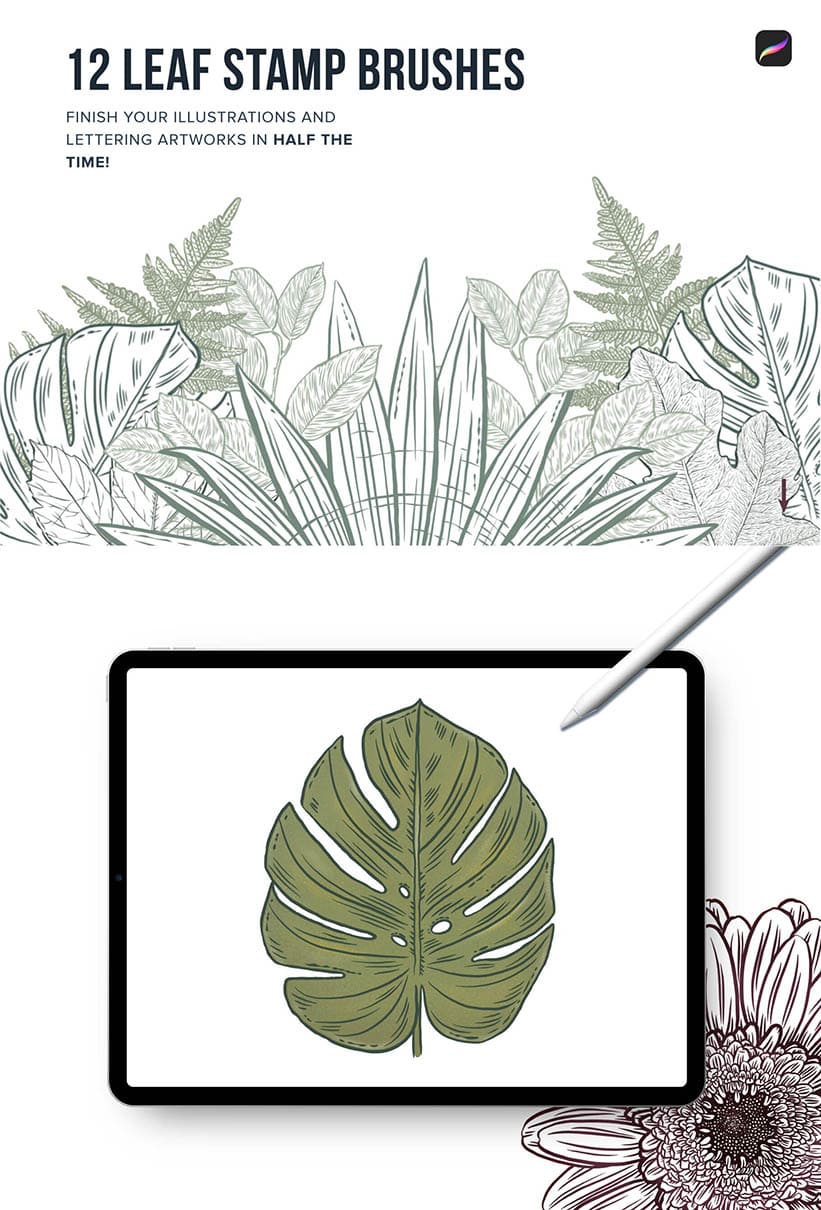 12 leaf stamp brushes for procreate