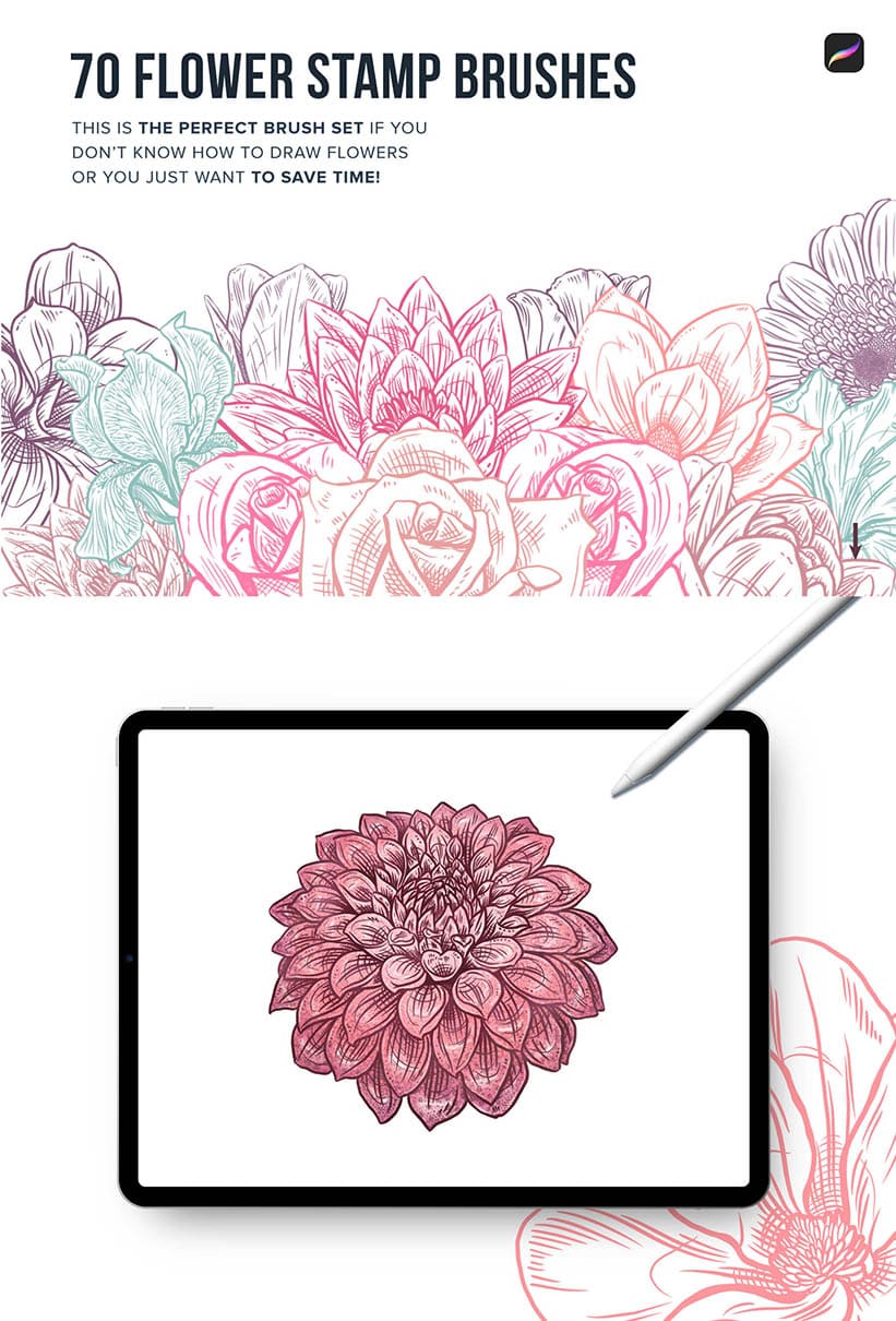 70 flower stamp brushes for procreate