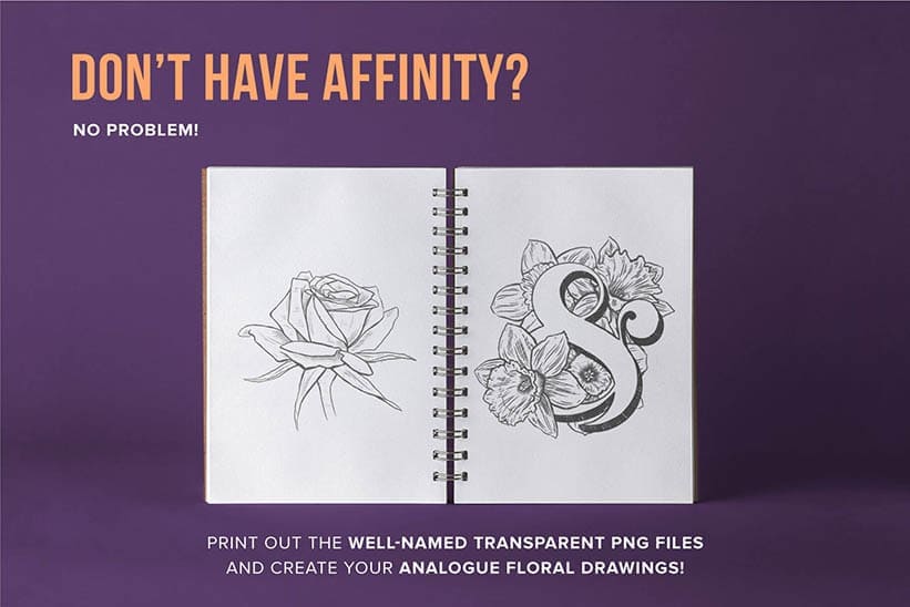these files come as well named png files