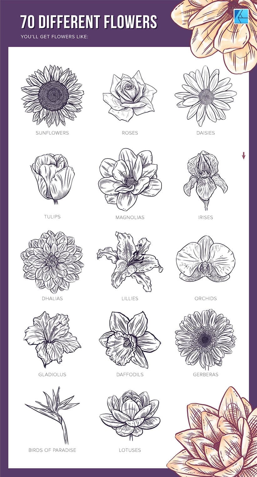 70 different flower stamp brushes for affinity