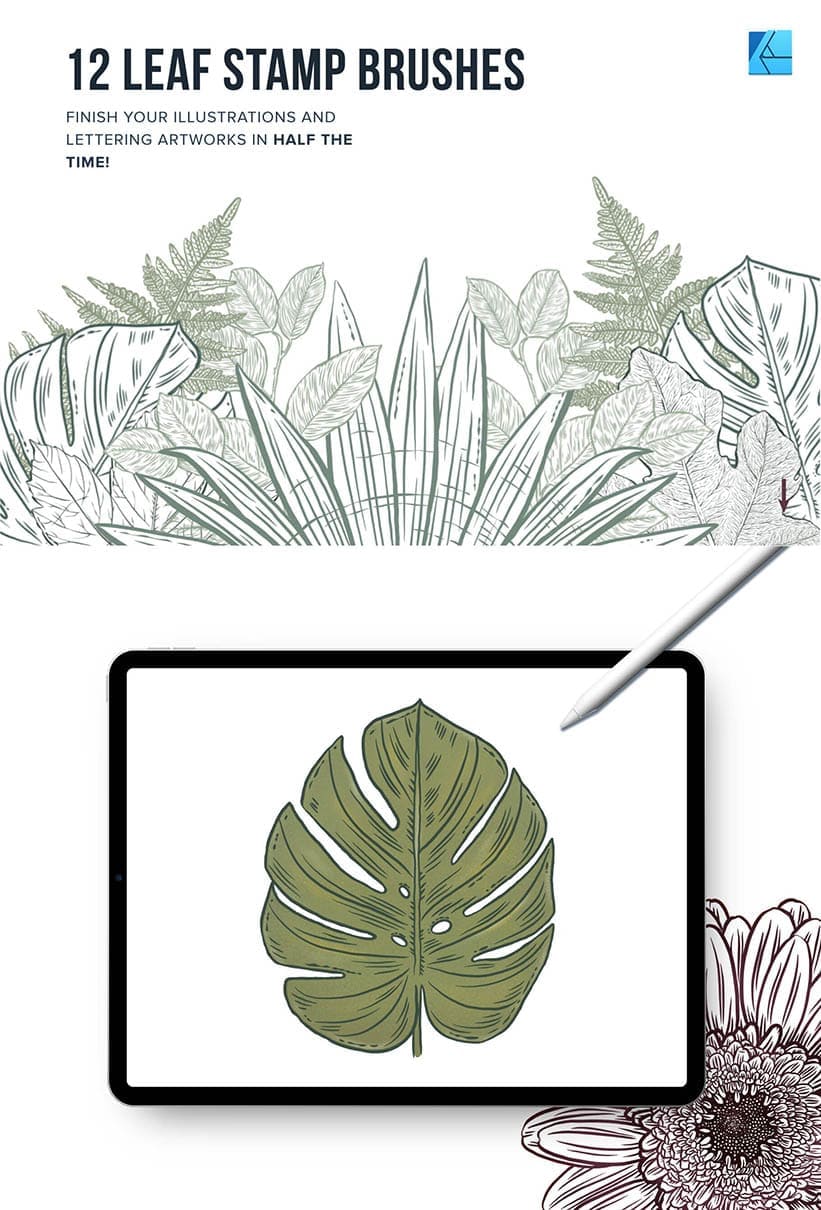 12 leaf stamp brushes for affinity designer
