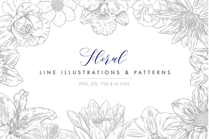 Line ready to use floral illustrations and patterns