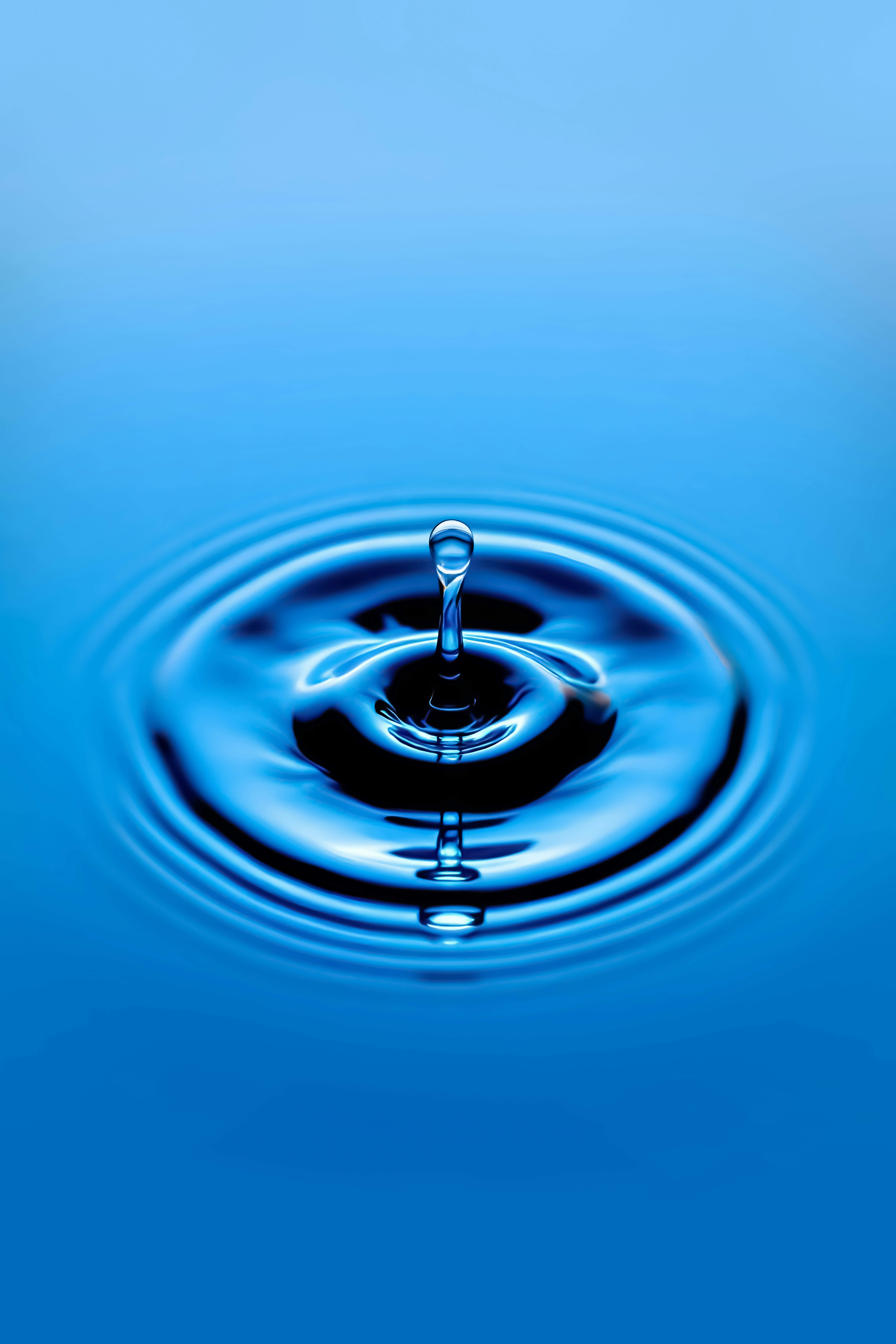 Avail advised Evac on the acquisition of WatMan Engineering