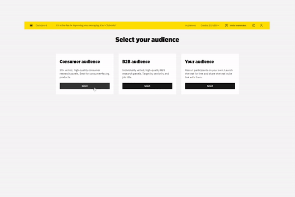 Selecting the right audience type: B2B, B2C or your own audience