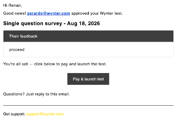 Approval confirmation email telling the requester that the Wynter test was approved and is ready for payment and launch.