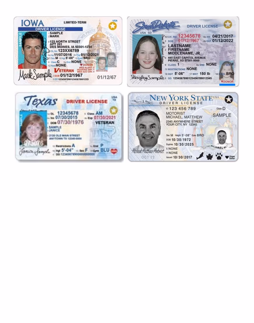 A collection of four driver's licenses from different states, each with individual's photo, name, and state-specific design elements.