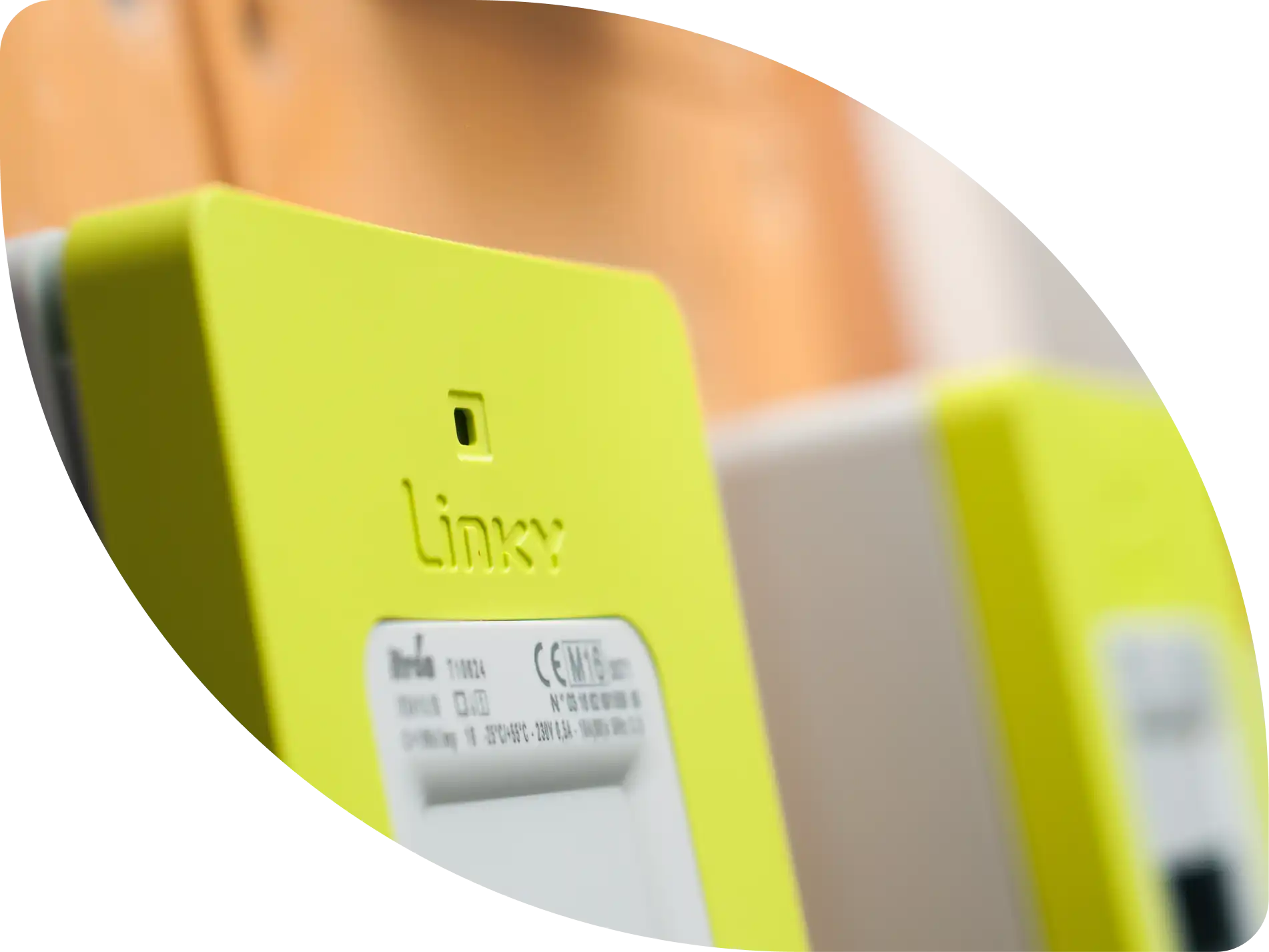 Chez Alterna, l’énergie est verte,citoyenne et de proximité